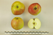 Apfel, aufgeschnitten und ganz, im Vergleich