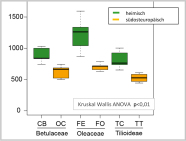 Abbildung 6: Mittlere Anzahl Individuen pro Baum auf den heimischen und verwandten südosteuropäischen Baumarten. CB= <i>Carpinus betulus</i> 'Frans fontaine‘, OC= <i>Ostrya carpinifolia</i>, FE= <i>Fraxinus excelsior</i> 'Westhofs Glorie', FO= <i>Fraxinus ornus</i>, TC= <i>Tilia cordata</i> 'Greenspire', TT= <i>Tilia tomentosa</i> 'Brabant'.