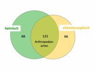 Abbildung 12: Auftreten der Arten dominanter Taxa auf heimischen, südosteuropäischen oder beiden Baumartengruppen.