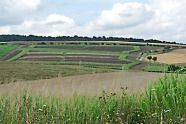 Blick auf eine agrarlandschaft mit Feldern und Wald im Hintergrund