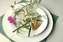 Essbare Pflanzen Lathyrus latifolius