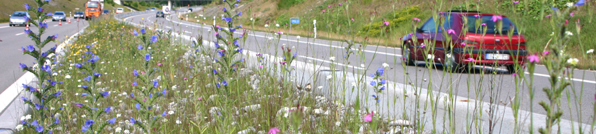 Header Straßenbegleitgrün