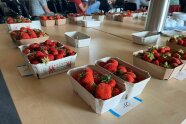 Beerenschalen mit Erdbeeren und Etiketten auf dem Tisch, Hintergrund Publikum sitzt auf dem Stuhl