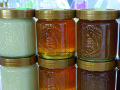 Mehrere Honiggläser mit unterschiedlich farbigen Honigen nebeneinander.