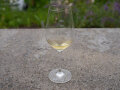 Ein Glas mit Qvevri-Wein
