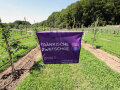 Ein Banner "Fränkische Zwetschge" auf einer Wiese