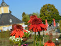 Rote Blumen in einem Garten vor einem Haus im Hintergrund