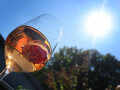 Ein Glas mit einer geeisten Zwetschge