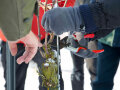 Menschen schneiden Reben im Weinberg im Winter