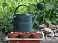 Eine Gießkanne mit Pflanztöpfen im Garten