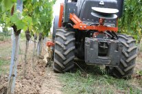 Ein Gerät zur Beikrautregulierung im Weinberg