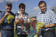  von links nach rechts: Roman Döppler, Brigitte Engelhardt und Hubert Siegler