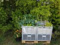 Mit Gemüse bepflanzte Bäckerkisten, so bleibt der Stadtgarten mobil. Diese sind einfach mit Vlies und Substrat ausgestattet und können sogar gestapelt oder auf einer Palette platziert werden. 