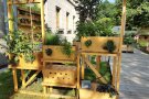 Terrabioponik - für den Gemüseanbau auf Balkon und Terrasse
