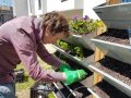 Ein Mann mit Handschuhen bepflanzt ein Vertikalbeet aus Metall.