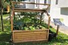 Gemüsevielfalt im Minigewächshaus