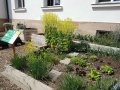 Wenn der Grünkohl im Mai noch blüht ist er ein guter Platz für Insekten und sieht dabei auch noch ganz prächtig aus.