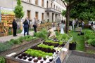 Einblick in den Urban Gardening Demonstrationsgarten München