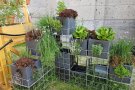 Terrabioponik - der Garten für Terrasse und Balkon