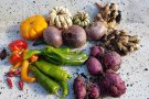 Paprika, Kartoffeln und Ingwer als Ernte aus Kisten und Co