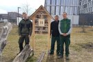 drei Männer vom Stadtgartenamt Regensburg stehen vor einem großen Modell mit Nisthilfen