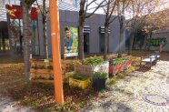 Palettenbeete umgeben von Bäumen vor einem Gebäude