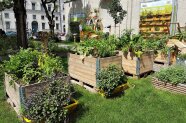 Gärtnern in der Stadt - Hochbeete und Paletten