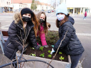 Drei Schülerinnen des OMG in Schweinfurt pflanzen Salat und Co. in einem Hochbeet.
