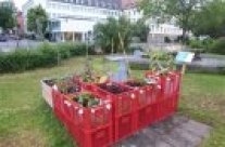 Wenn eine Fläche nur temporär genutzt werden kann sind mobile Kisten und Paletten-Beete eine gute Möglichkeit zum Gärtnern. Am Demonstrationsgarten sind diese mit verschiedenem Gemüse bepflanzt.