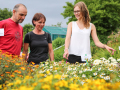 Eine LWG-Mitarbeiterin mit zwei Besuchern auf der Blumenschaufläche.