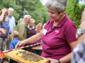 Hildegard Zipper hält eine Bienenwabe in der Hand.