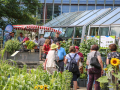 Besucher laufen durch den blühenden Schaugarten.