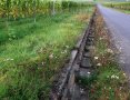 Eine Wasserrinne führt an der Straße entlan gesäumt von einer vielfältig blühenden Begrünung