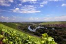 Blick über Weinberge, auf den Main mit säumenden Auen und ein Dorf