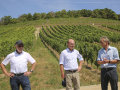 Norbert Schäffer mit LWG-Präsident Andreas Maier im Weinberg.