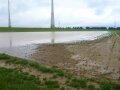 Blick auf eine Feld, Saatreihen verschwinden im Wasser