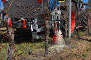 Schlepper im Weinberg mit Anbaugerät das die Applikation ausbringt.