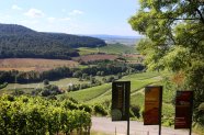 terroir f - Fahnen und Blick über Weinberge, Felder, Hecken und Wald in die Ferne