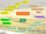 Im Hintergrund Weinberge darüber Textfelder mit Krankheiten und Schädlingen.