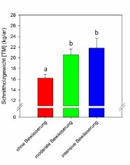 Ohne Bewässerung (B.) rund 16 kg/ar, moderate B. 20 und intensive B. 22 kg/ar