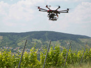 Eine Drohne fliegt über einen Weinberg; im Hintergrund sind Bäume zu sehen