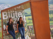 Der Magische Ort des Frankenweins in Hammelburg umgeben von Weinbergen.