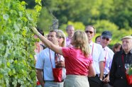 Eine Gästeführerin zeigt interessierten Weintrinkern etwas im Laub der Reben