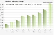 Säulengrafik. Säulen werden im zeitlichen Verlauf immer niedriger.