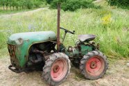 Ein alter grüner, abgenutzter und etwas verbeulter Schmalspurschlepper steht an einer bunt blühenden Wiese