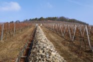 Streifen angehäufter Steine entlang eines Wasserabschlages im winterlichen Weinberg