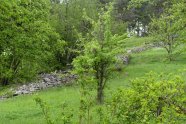 Ein Wall aus Steinbrocken zieht sich einen Hang hinauf, begleitet von einer Hecke und Wiese