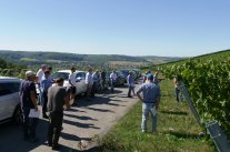 zahlreiche Personen sethen mit Abstand um einen Redner auf einem Weinbergsweg