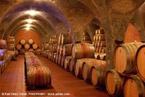 Viele Weinfässer stehen nebeneinander und übereinander in einem Gewölbekeller.
