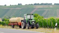 Ein Schlepper mit Anhänger mit aufmontiertem großem Wasserfass steht an Rebzeilen